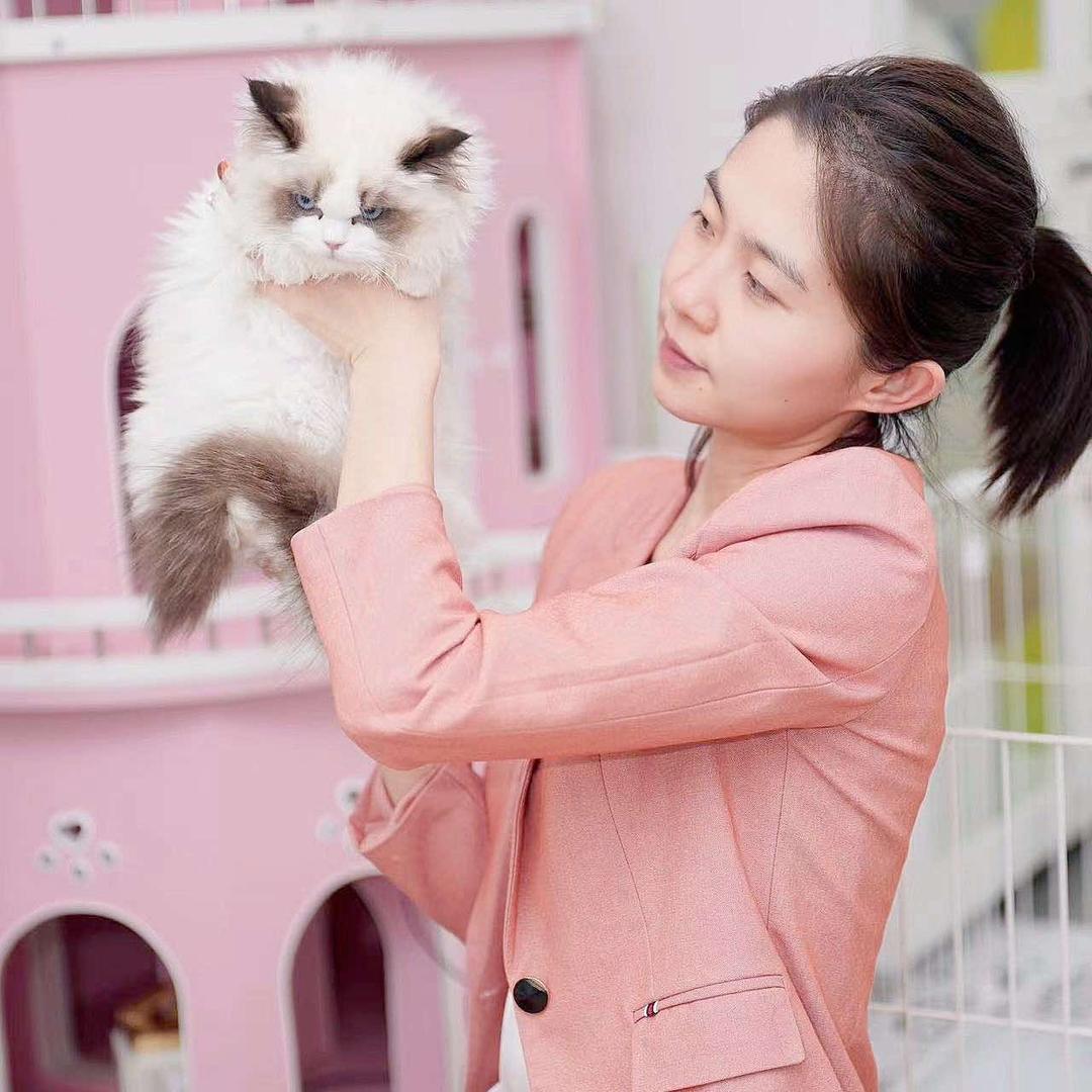 青奢猫舍 青奢宠物（长春）