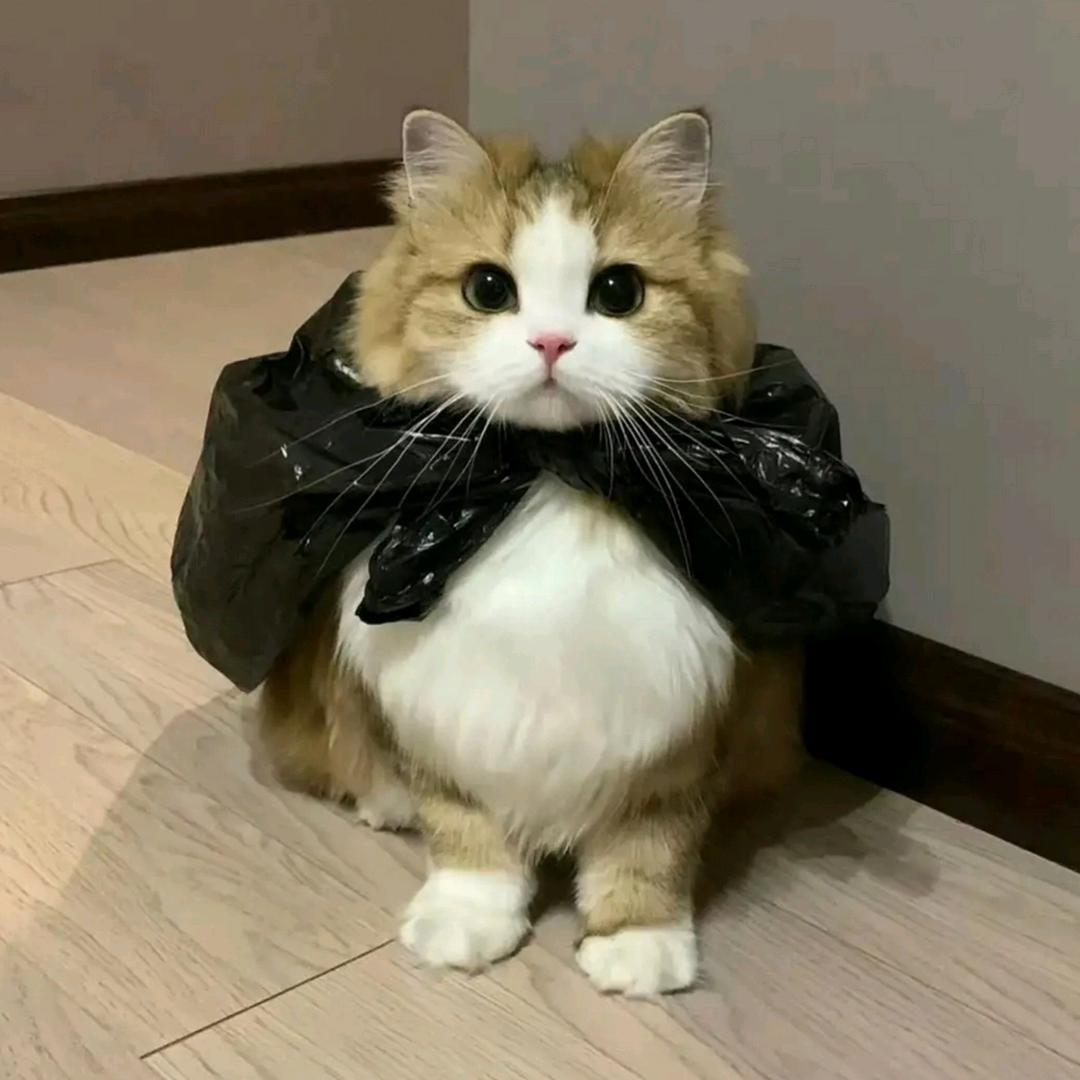 东莞常平镇逸家公寓