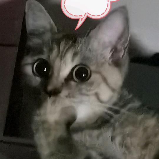 金山任记烧烤店（梅岭老店）