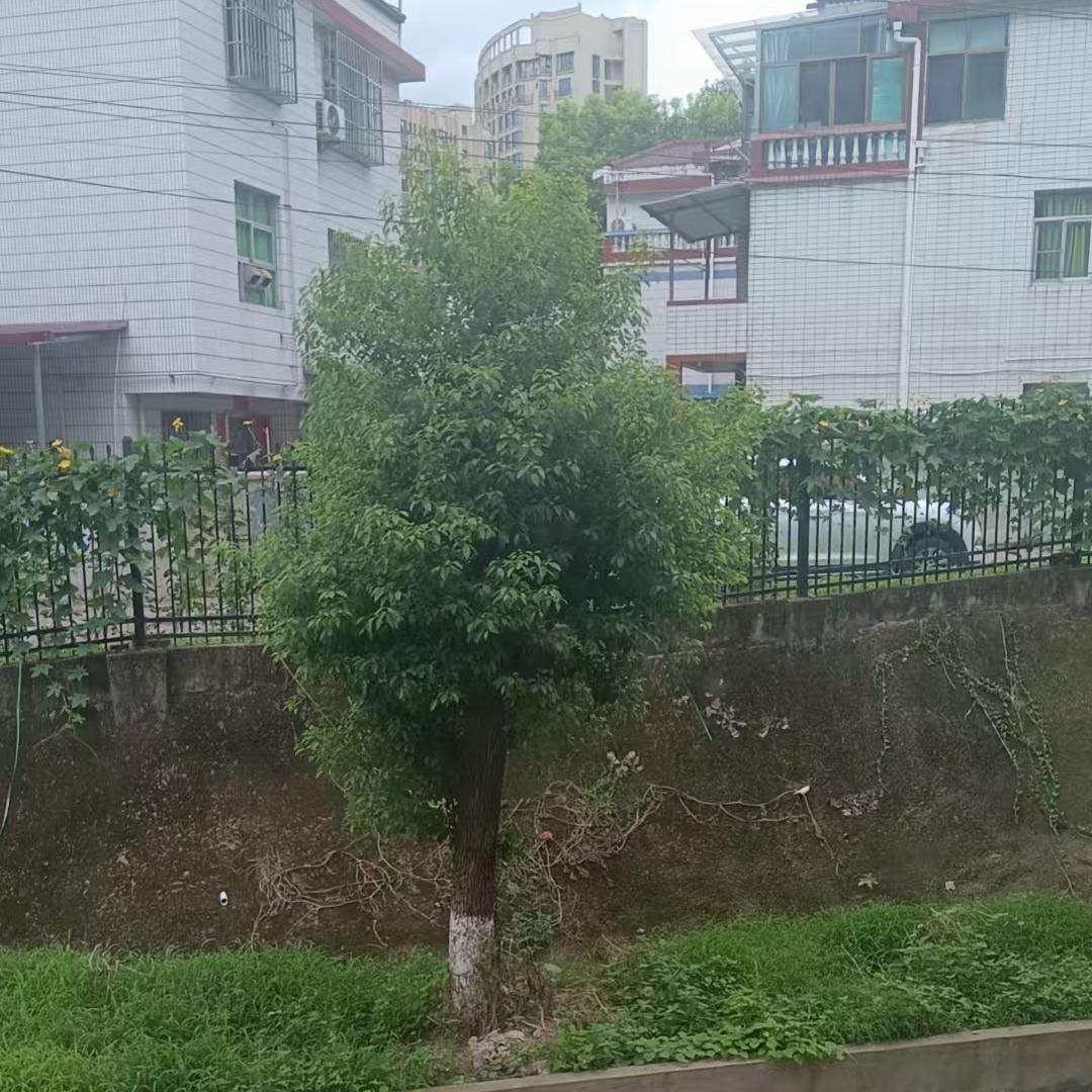 凌明耀好物分享