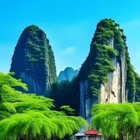 甜甜天的直播号