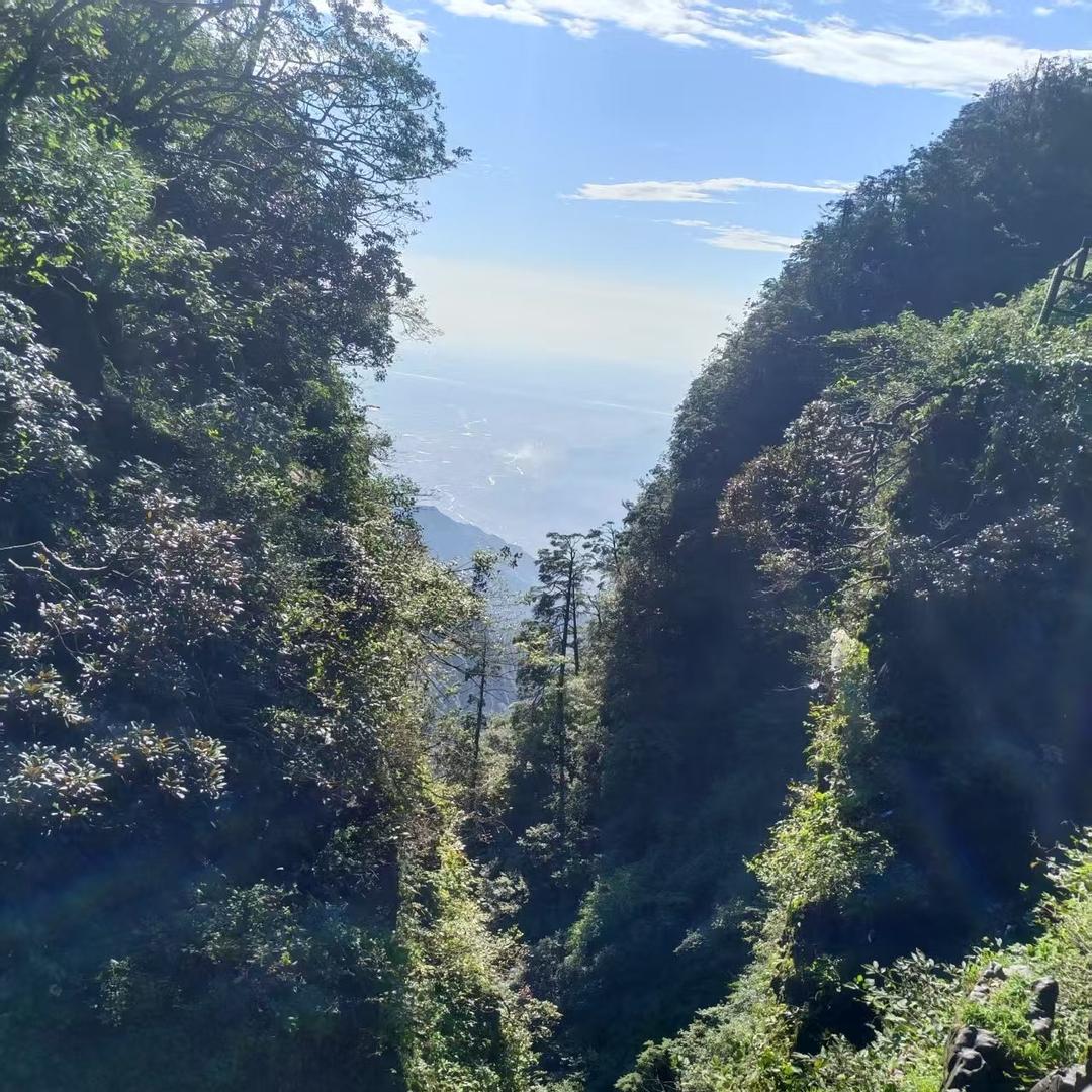 法兰尼净水器(金沙北路店)法兰尼净水器(金沙北路店)直播号