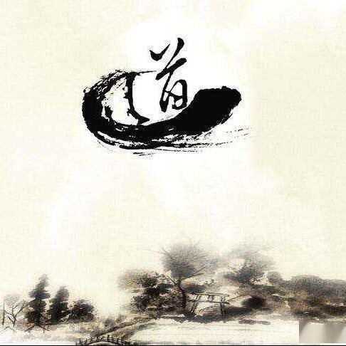 中岳箴言威迪直播号