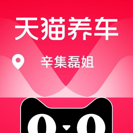 天猫养车-辛集磊姐