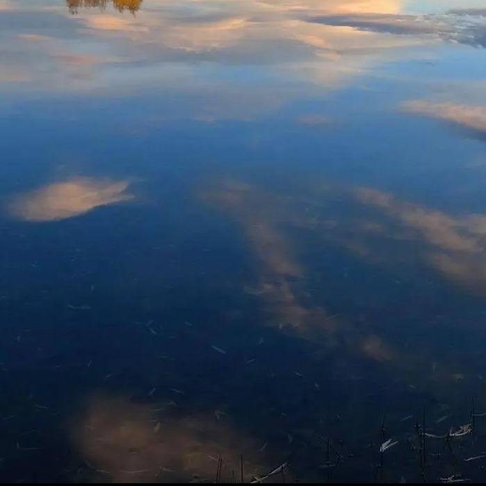 新年快乐直播号