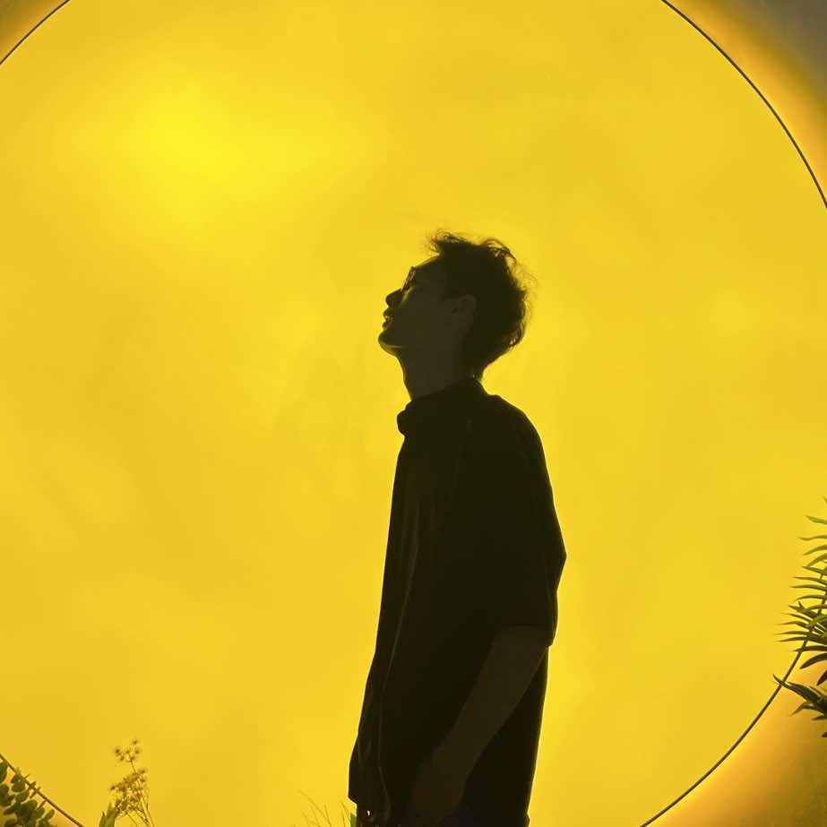 领秀领臻繁意·阿豪终结者