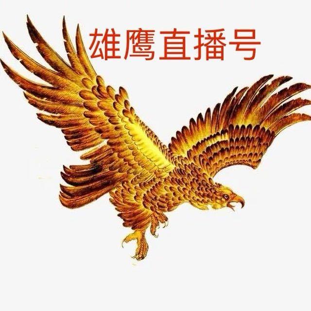 雄鹰3推广号