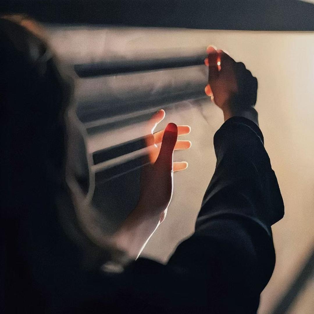 光头强的直播号