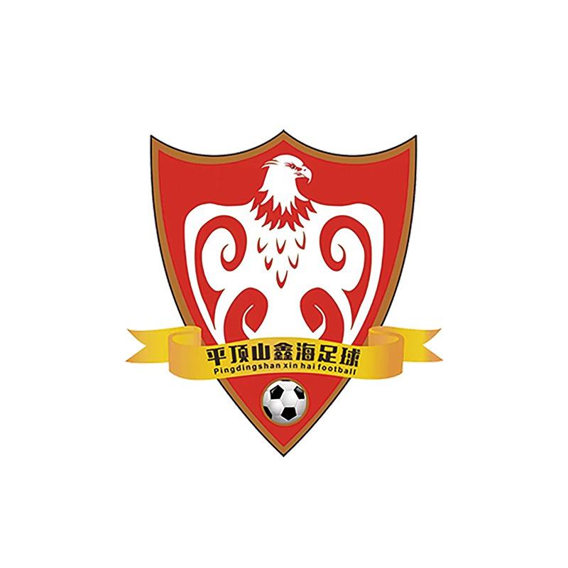 平顶山体育村鑫海足球