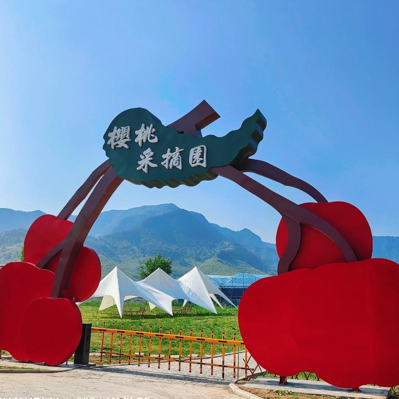 河东樱桃采摘园
