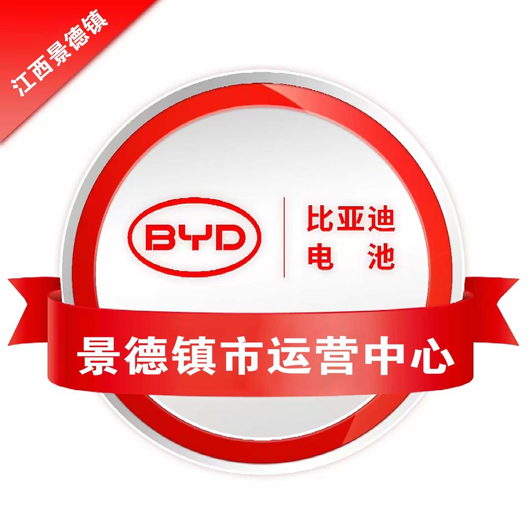 比亚迪锂电池景德镇PXPR