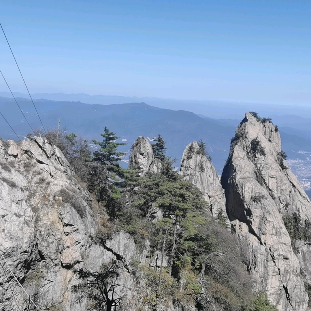 龙记九味面