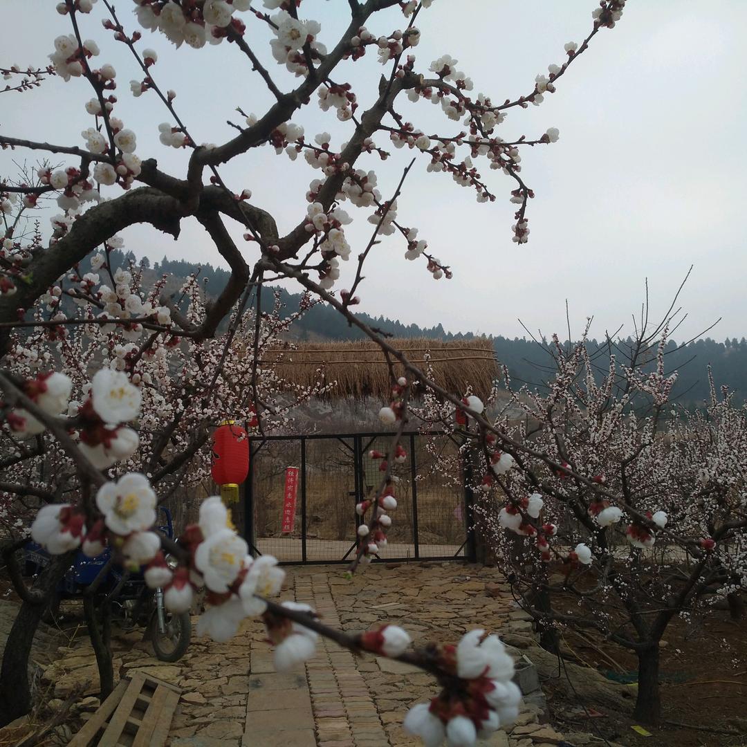 大洞山农家院