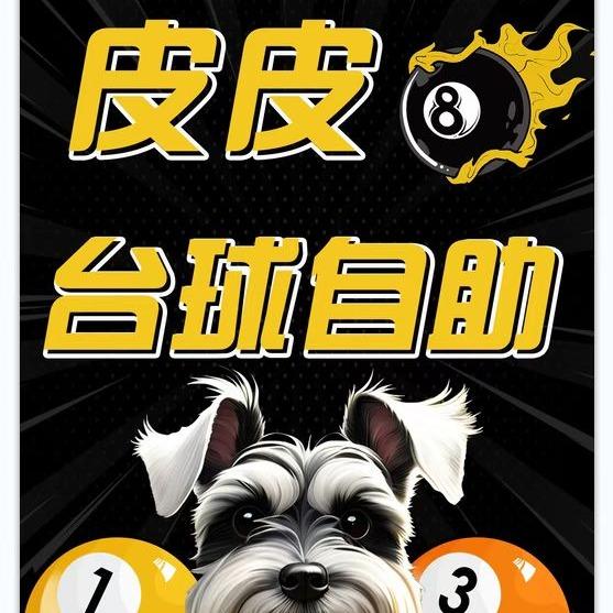 皮皮台球俱乐部(团结路店)