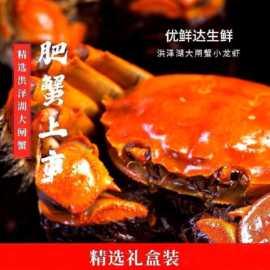 贝诺迪精品大闸蟹1号