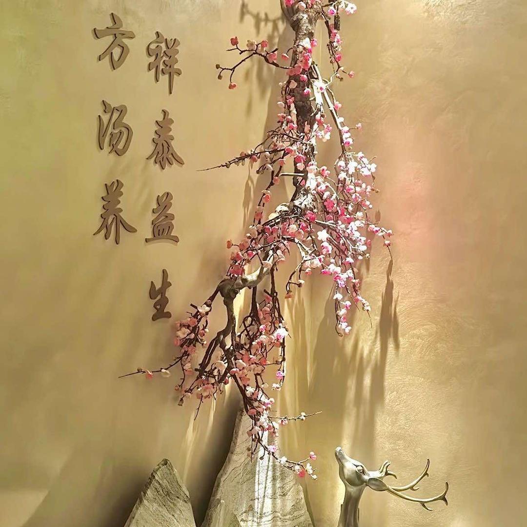 橘沐·SPA官方号