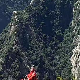 尊世情怀休翠贸易v直播号