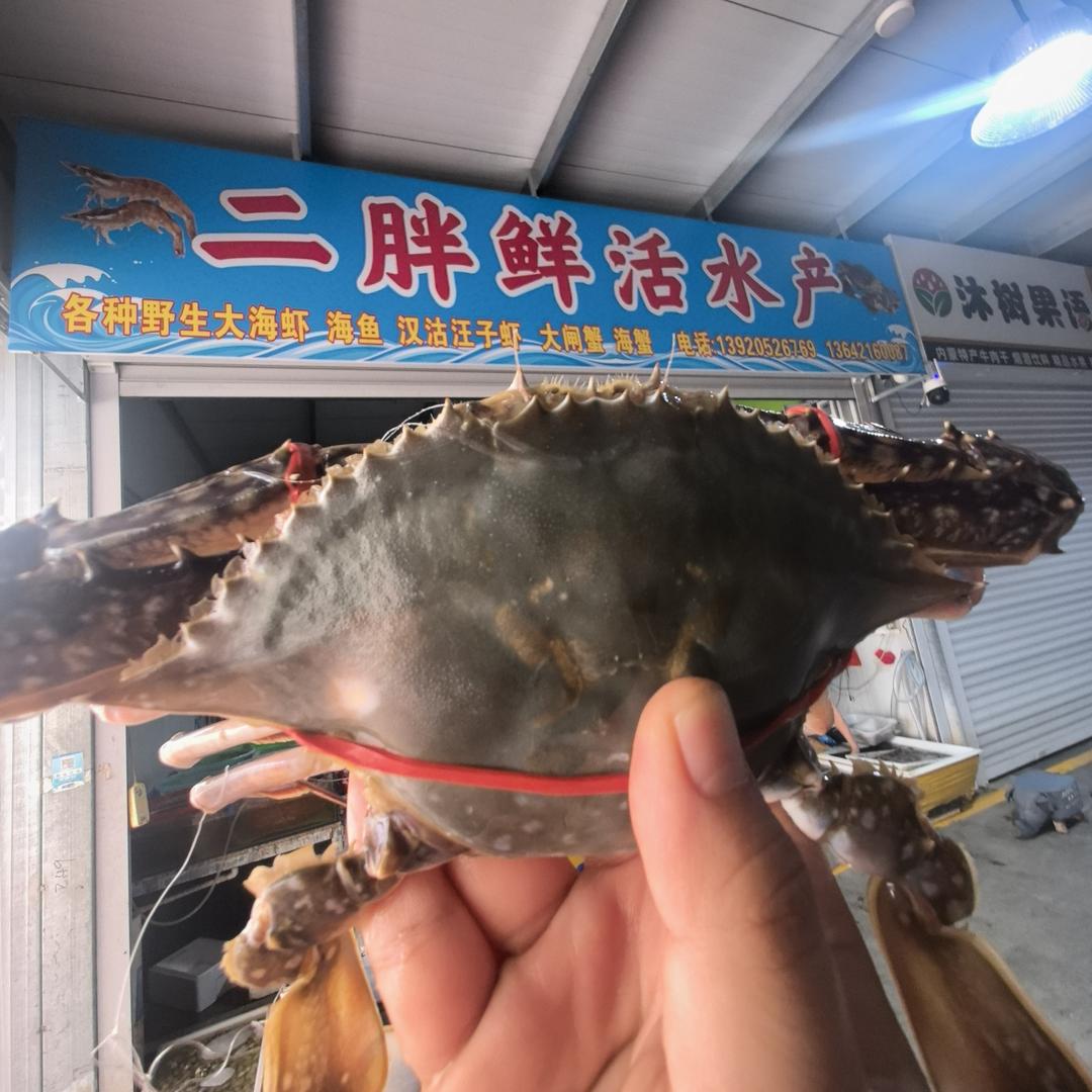 二胖鲜活水产官方号