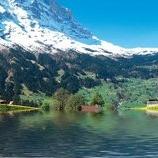 陕西评旺竹网络科技JH直播号