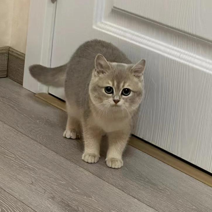 溧阳市梦茴美甲店