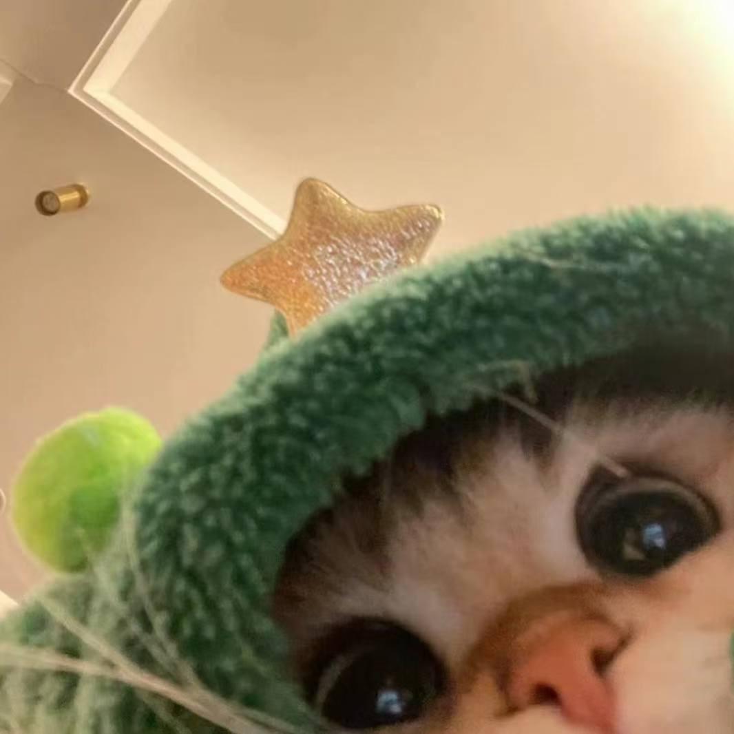 ZUNVO五指山市天华贯商务咨询工作室