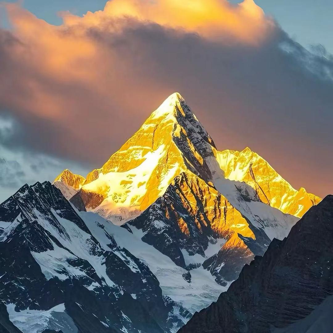 梦动海南宗乔124直播号