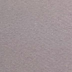 杏讯垚25直播号