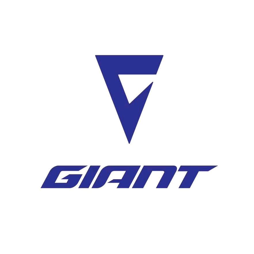 GIANT捷安特-北关店
