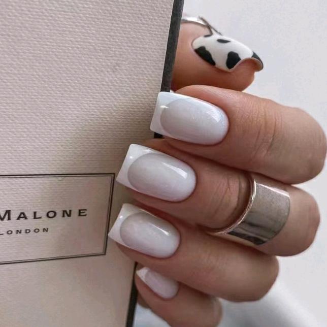 渐渐老去的小呆