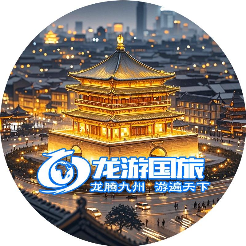 陕西龙游国旅（兵马俑长恨歌千古情）