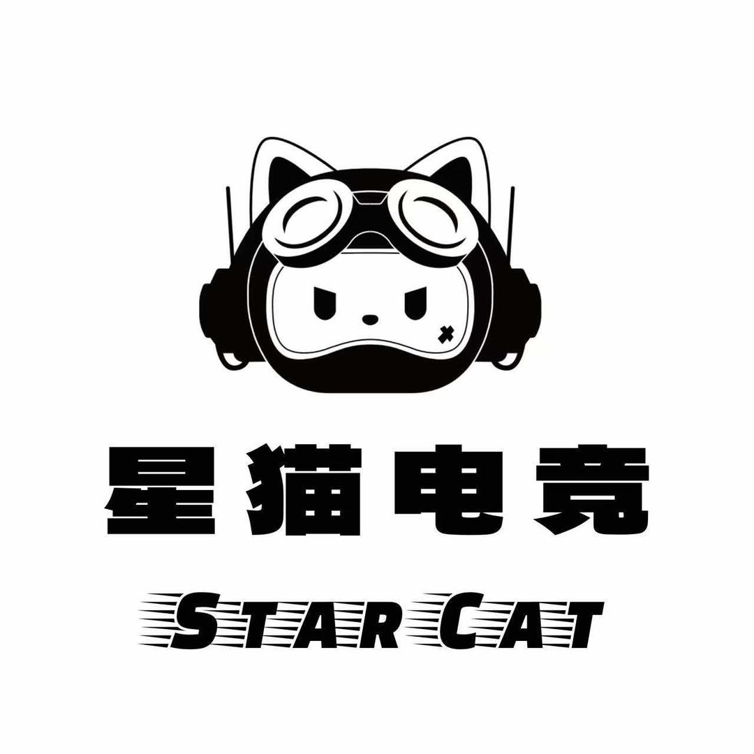 大连星猫电竞