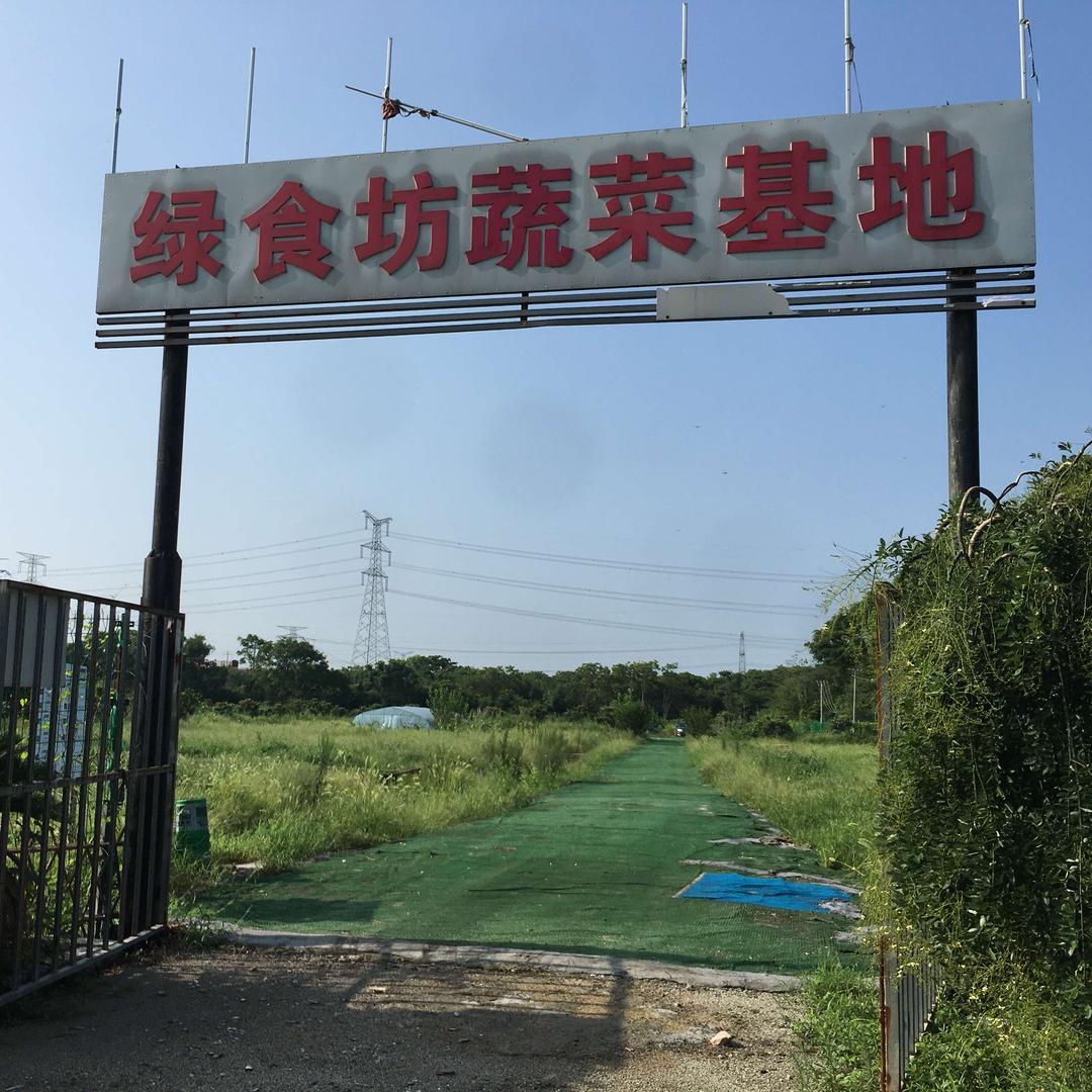 绿食坊蔬菜基地官方号