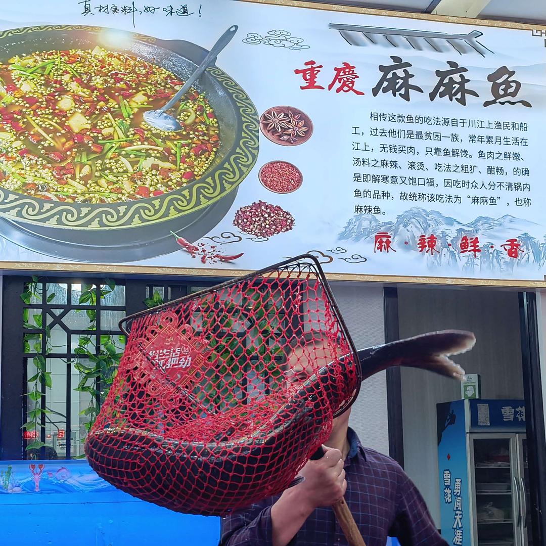 东阳重庆麻麻鱼