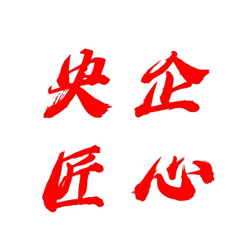 中国央企好物-装丸球食品