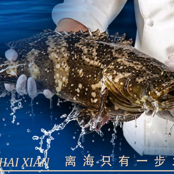 巽港海鲜大排档(巽寮店)