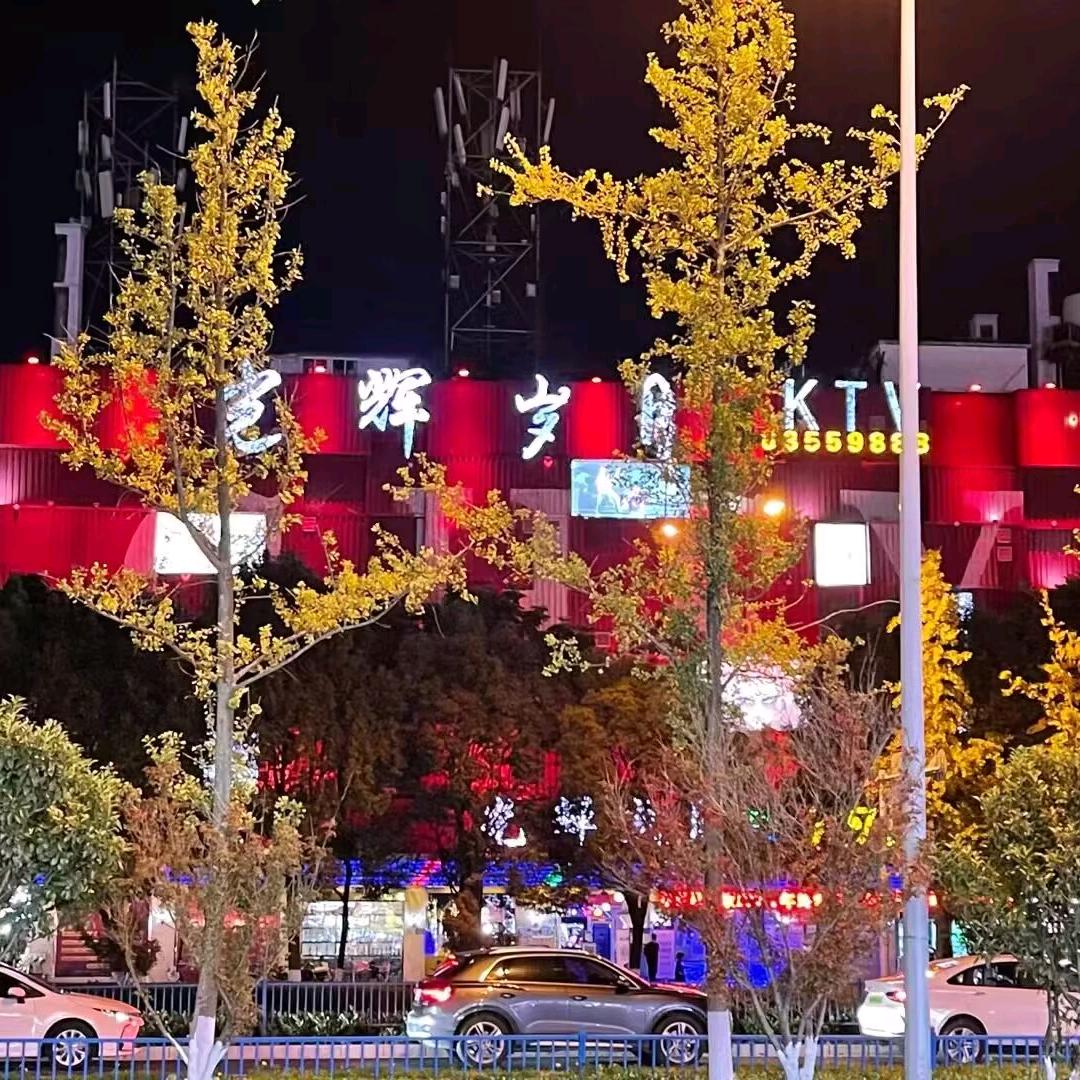 光辉岁月主题量贩KTV(珥季路店)官方号