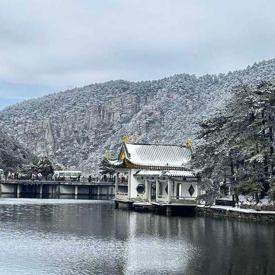 朝阳区冯唐信息咨询工作室（个体工商)