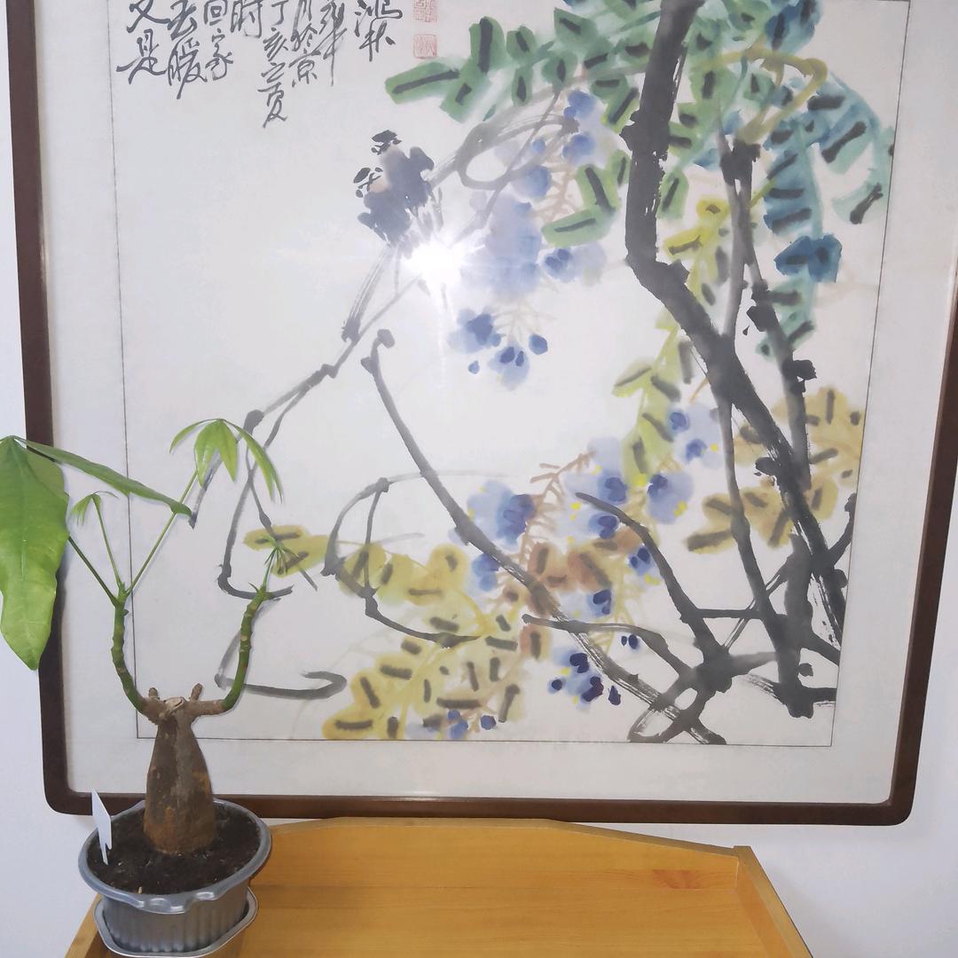 阅海归栖民宿官方号