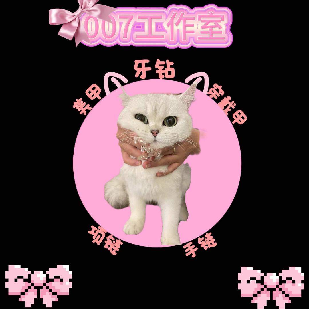 007工作室