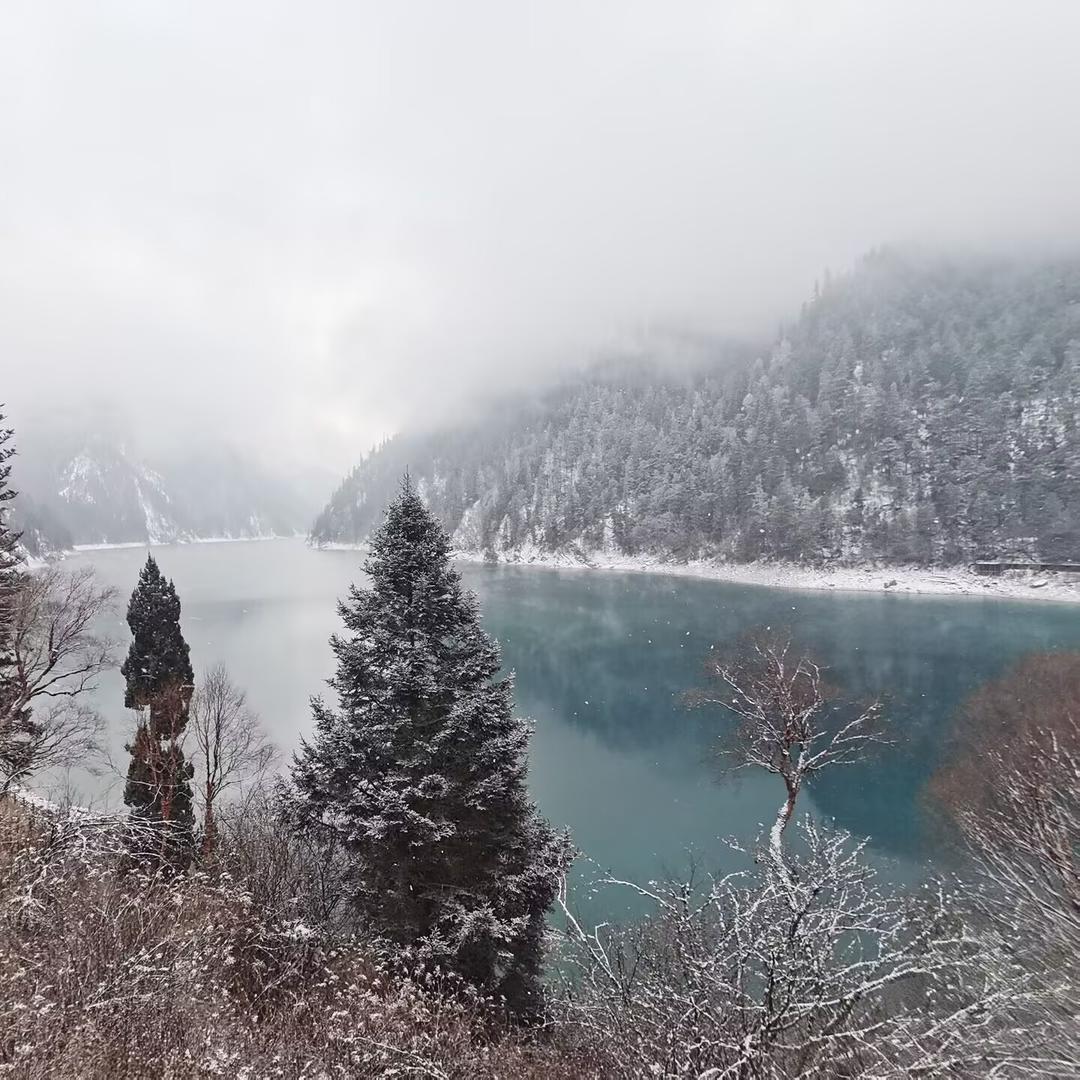 鸿升水电直播号