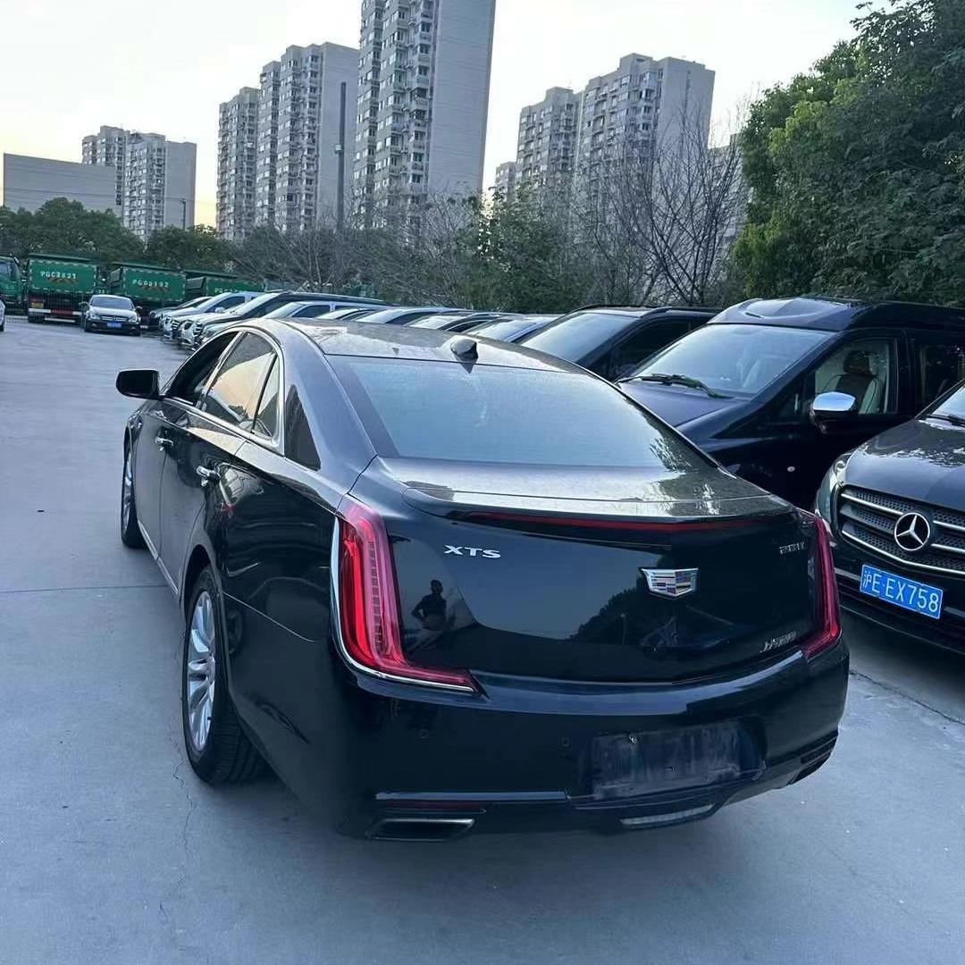 天帝冬天直播号