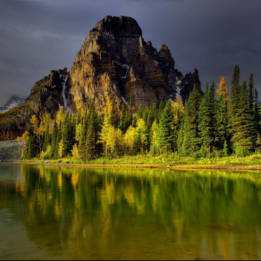 源起老师直播号