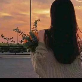 rose.花语