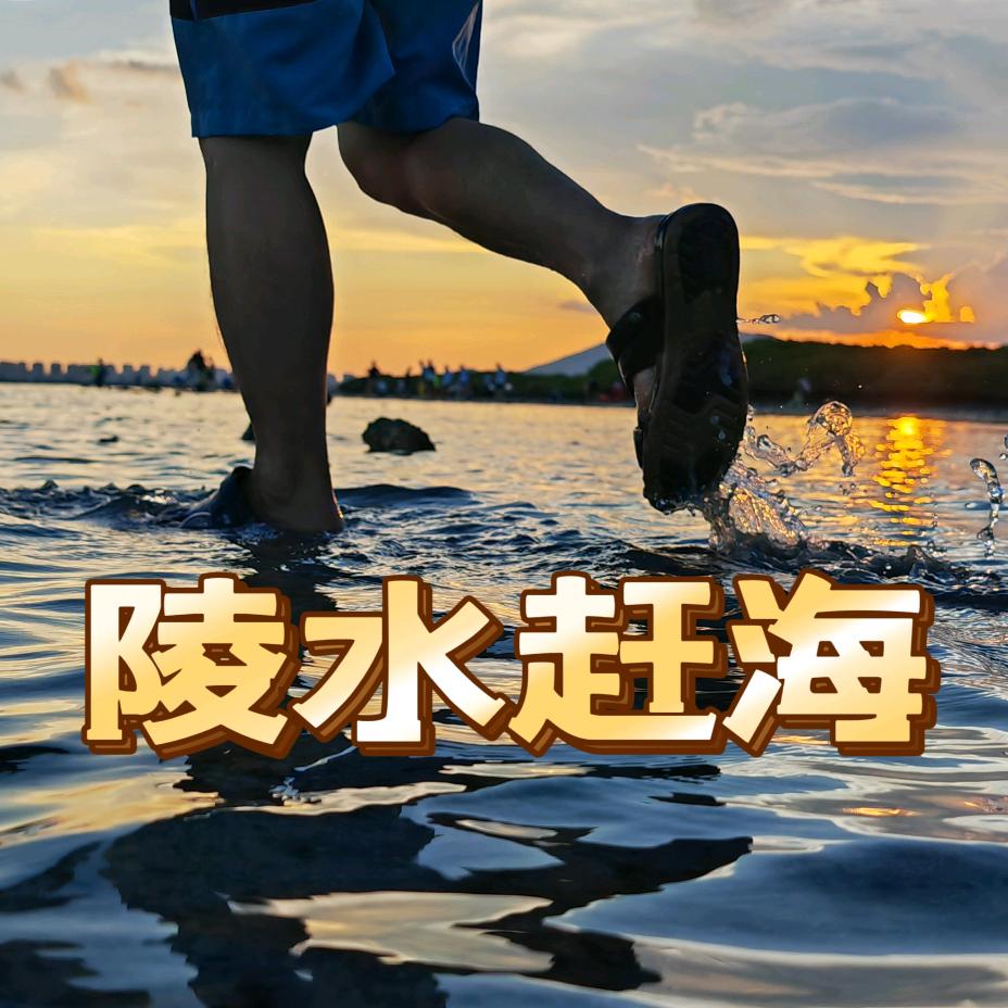 陵水渔村赶海