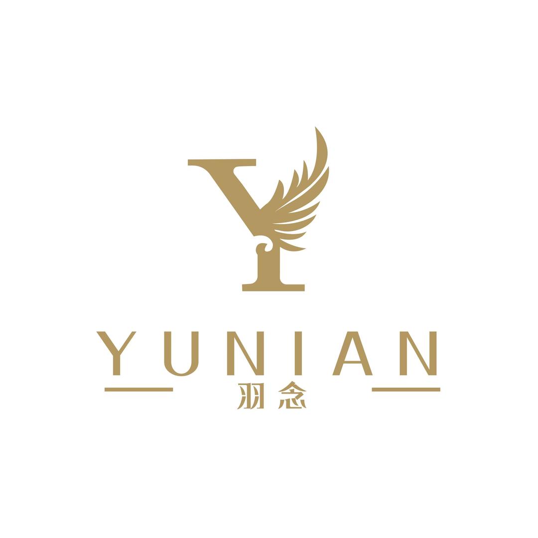 羽念·假发私人定制