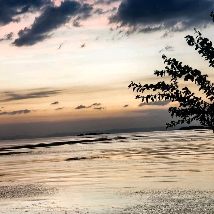 广州市天河区普仕网络科技有限公司1直播号