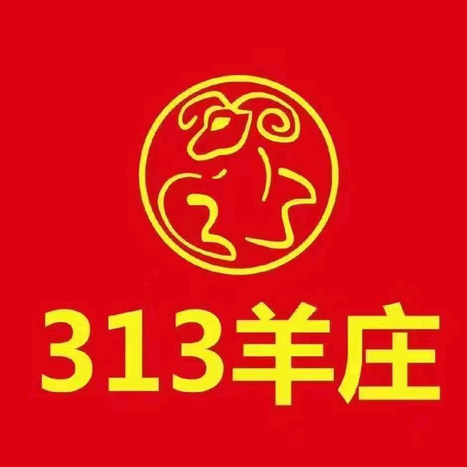 313羊庄西安（木塔寨店）