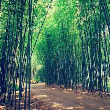 尧波咻咻百货号