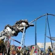 北环摄影小管家（王导）