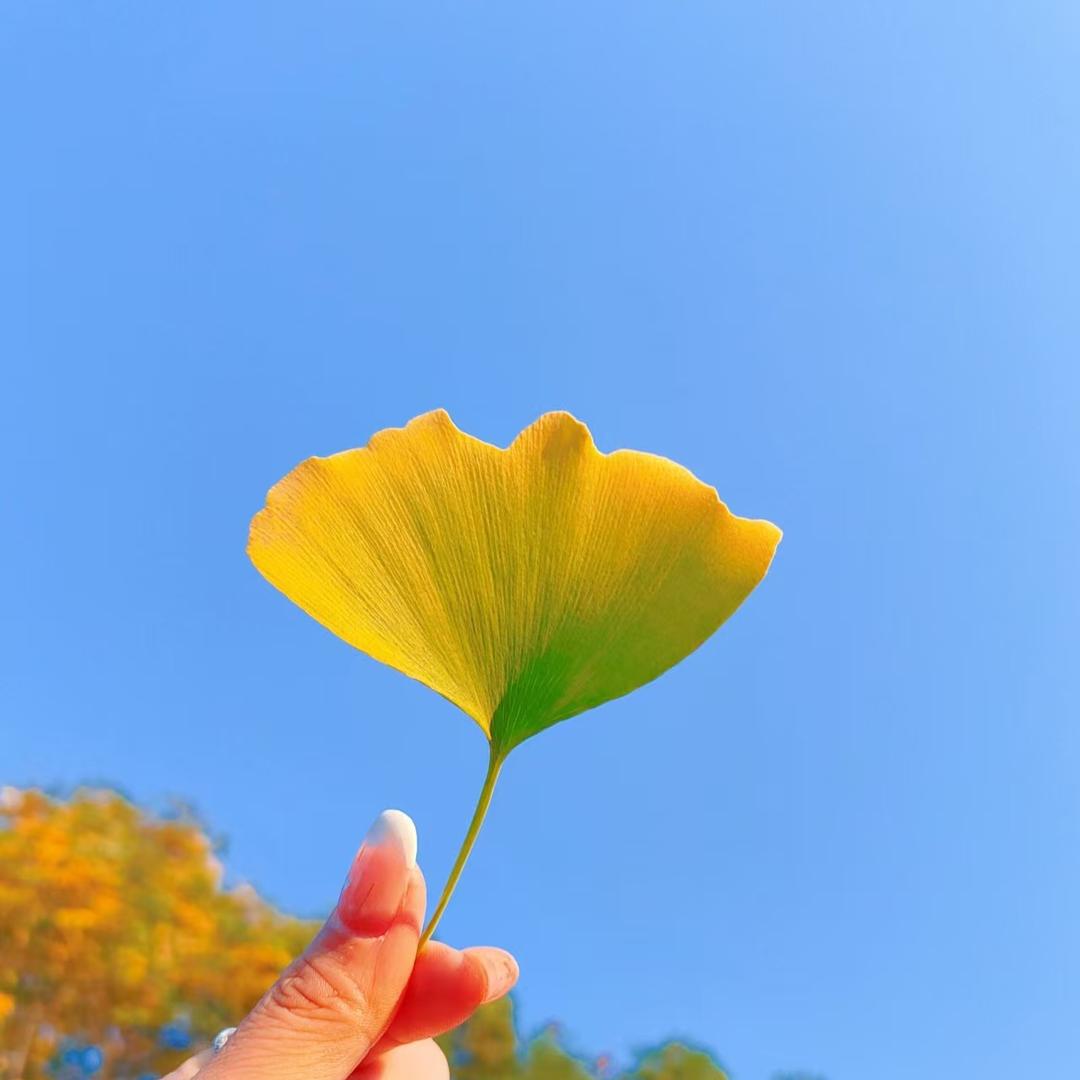 健管力微微直播号